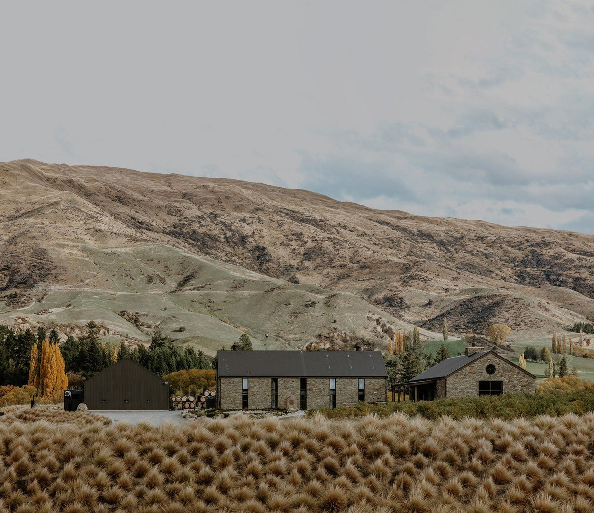 AA_CD_158.jpg__PID:12016b3a-0e85-4ef8-a638-c8f1db2ab74e