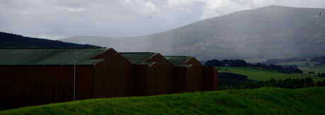 Rustic wooden cabins nestled in lush green countryside, with misty mountains in the background.