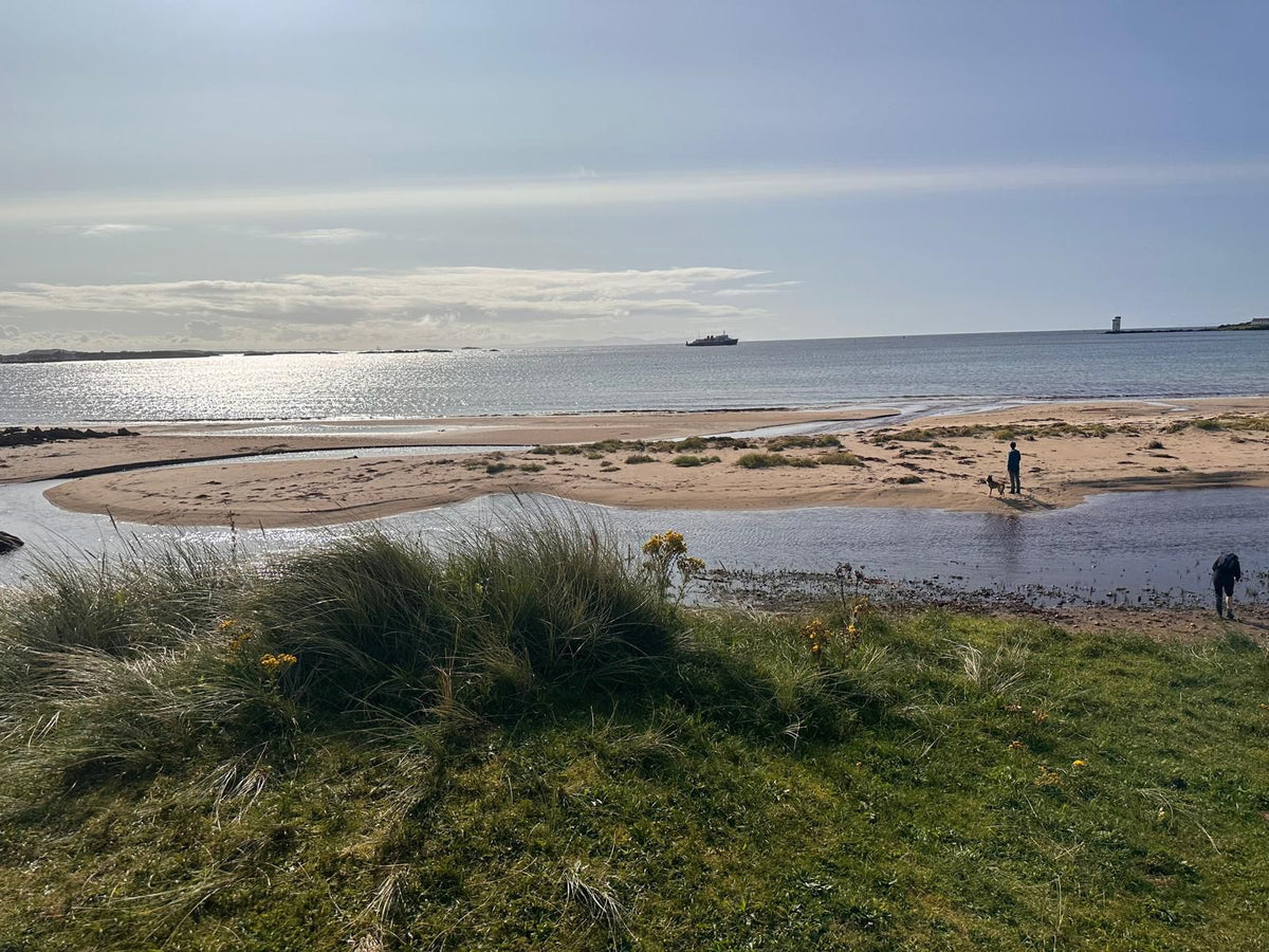 WhatsApp Image 2024-05-02 at 13.02.19_0b34300e.jpg__PID:4f3c9463-45aa-467e-82ca-4113cd29b64f