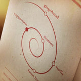 Macallan The Harmony Collection 2 Intense Arabica - Milroy's of Soho - Whisky